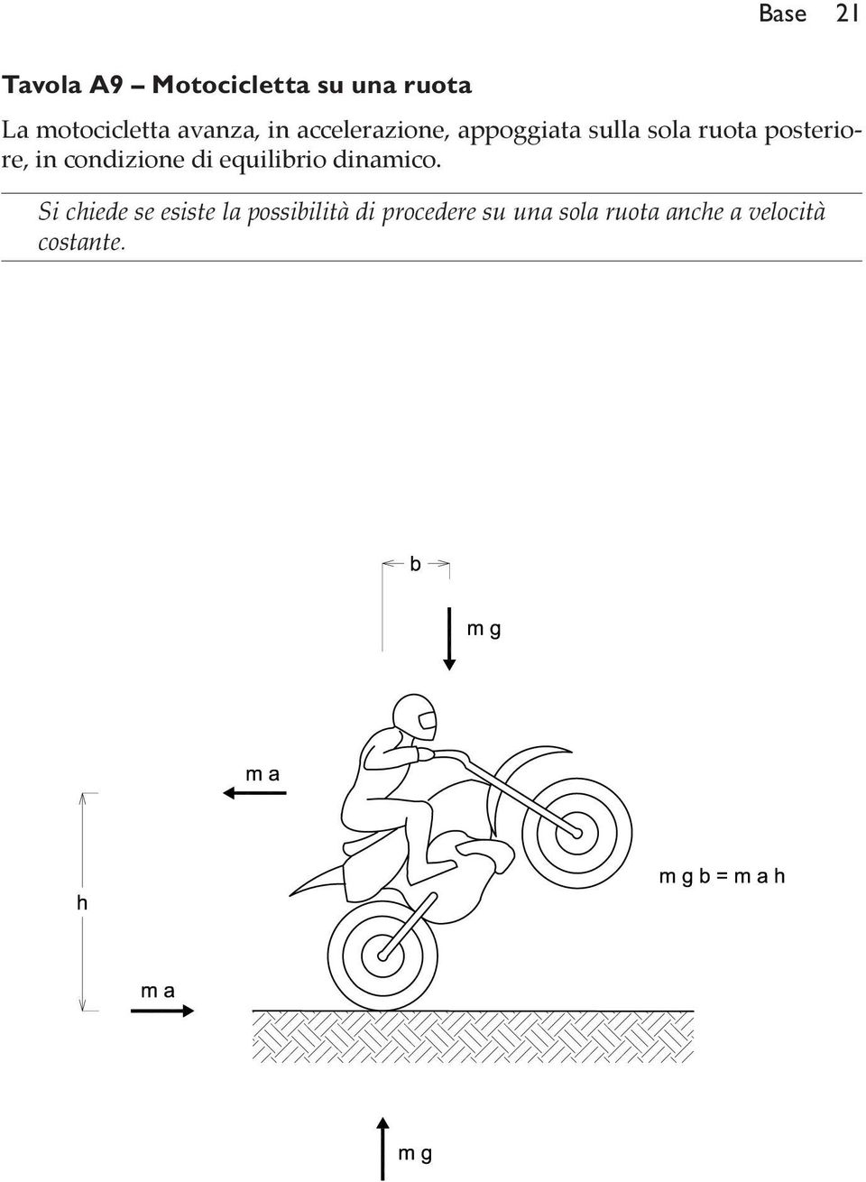 posteriore, in condizione di equilibrio dinamico.