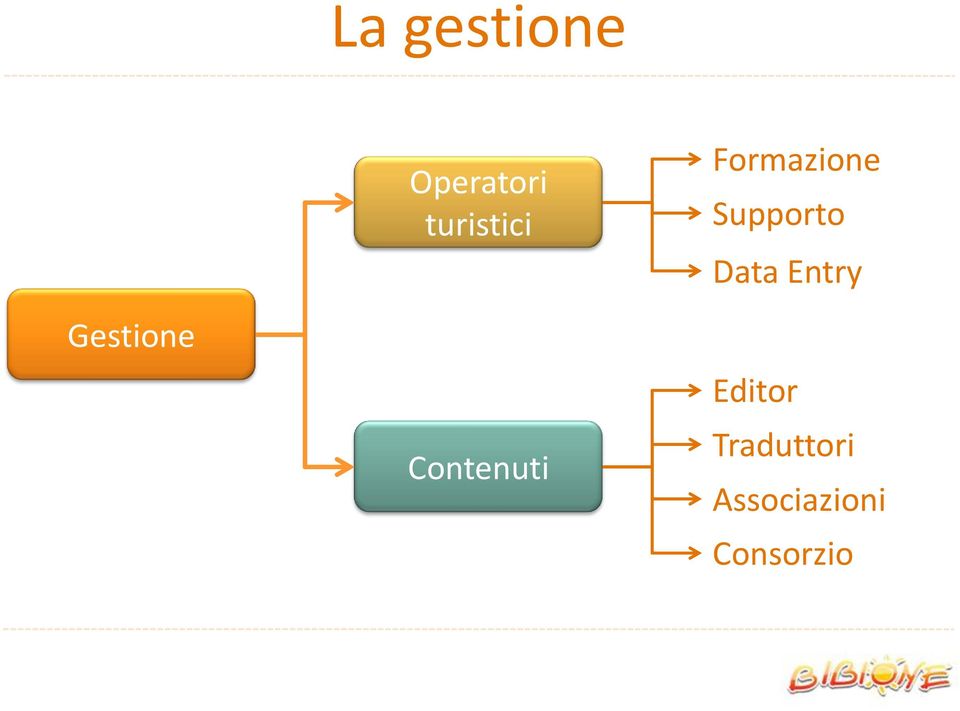 Supporto Data Entry Editor