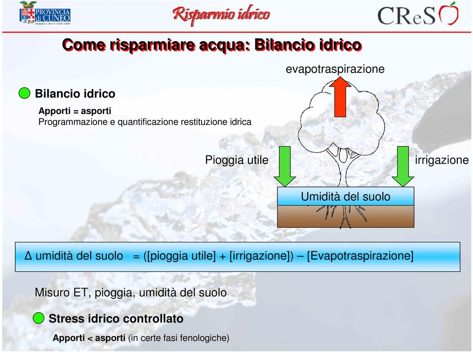 suolo umidità del suolo = ([pioggia utile] + [irrigazione]) [Evapotraspirazione] Misuro ET,