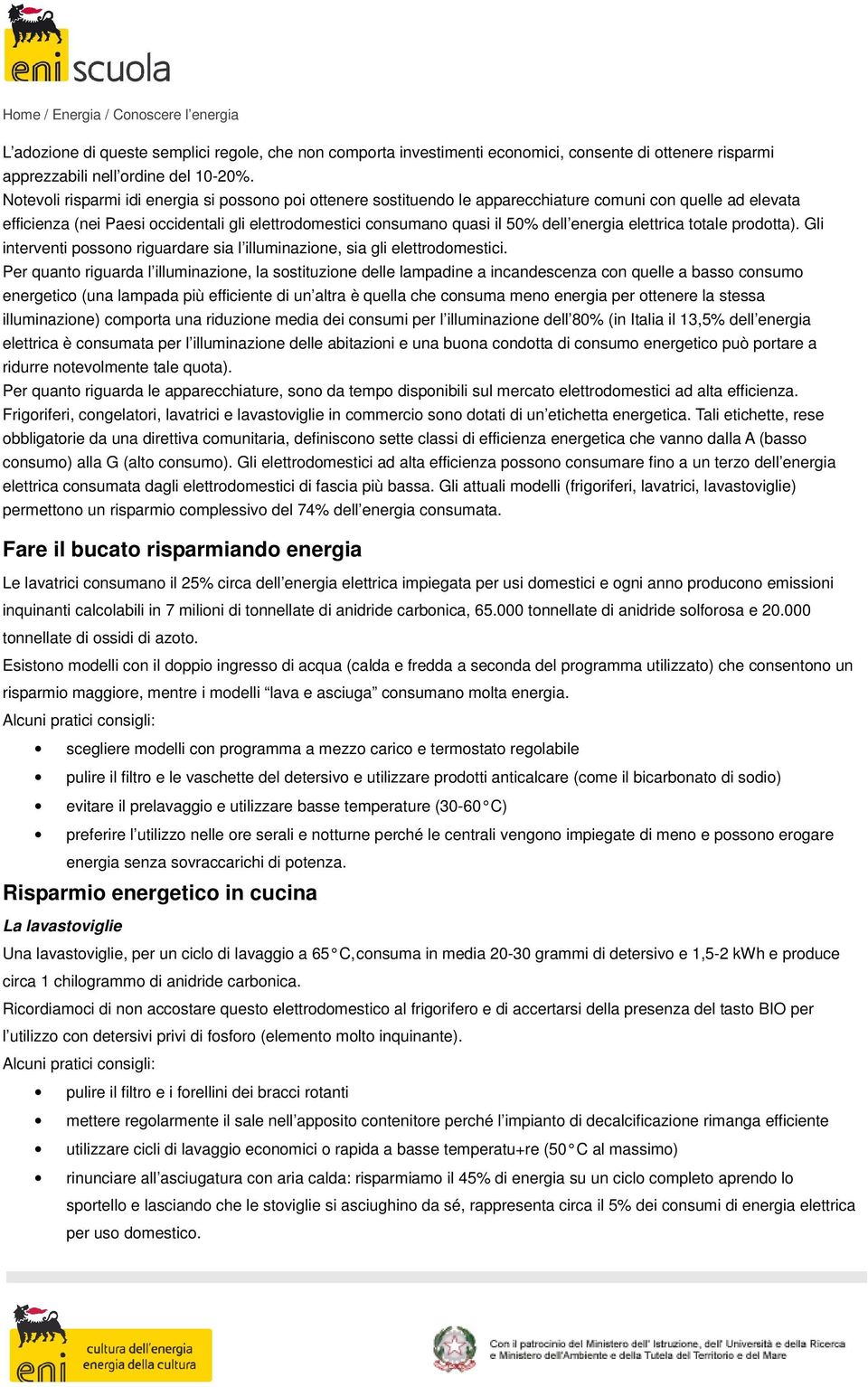 energia elettrica totale prodotta). Gli interventi possono riguardare sia l illuminazione, sia gli elettrodomestici.