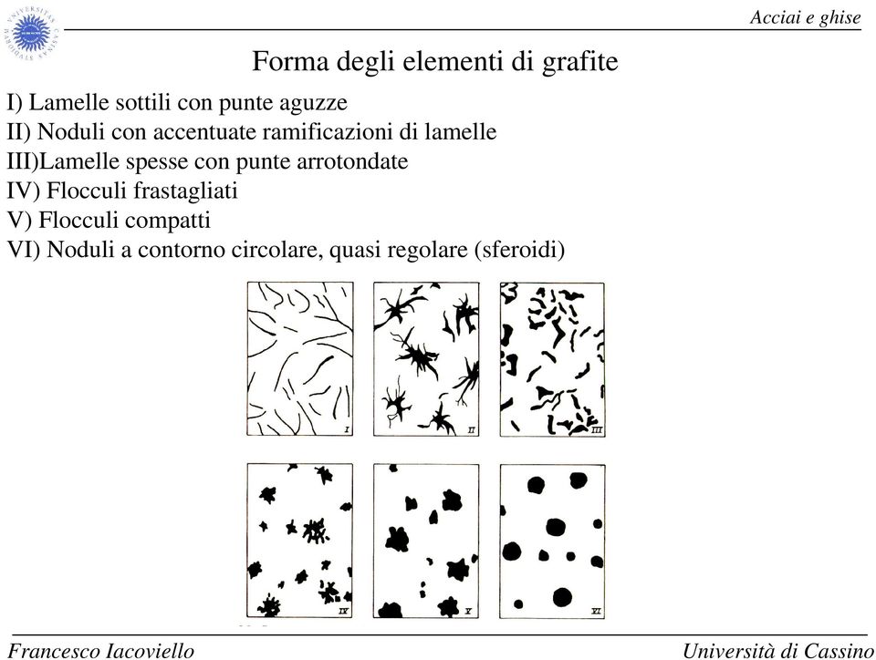 con punte arrotondate IV) Flocculi frastagliati V) Flocculi compatti