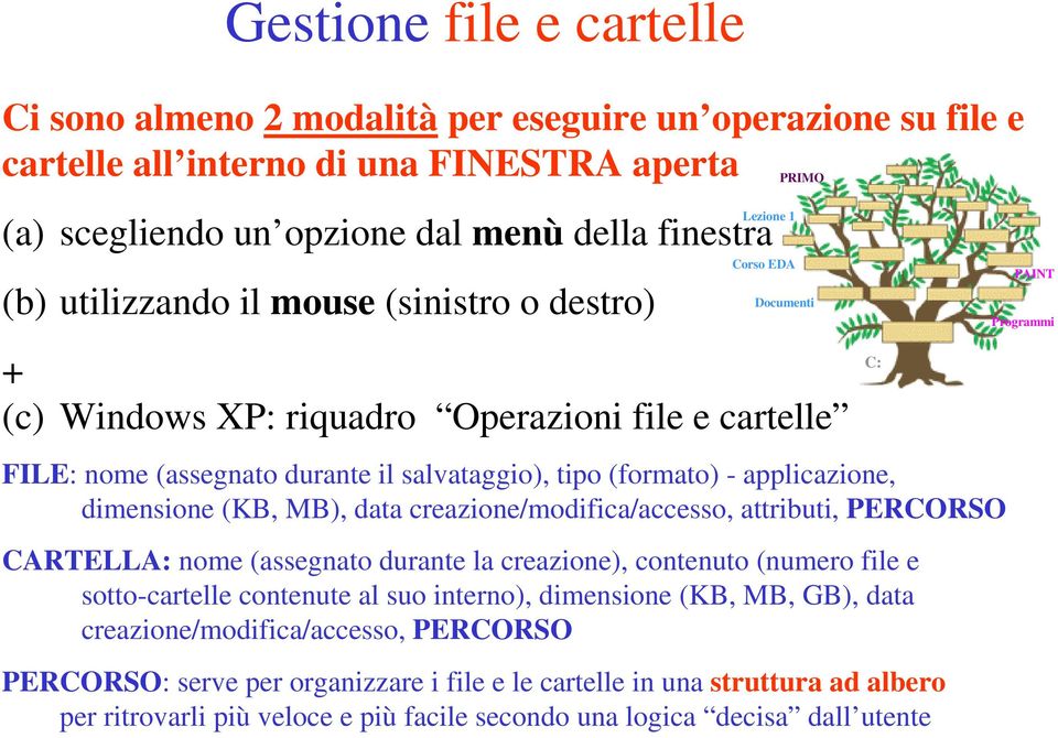 dimensione (KB, MB), data creazione/modifica/accesso, attributi, PERCORSO CARTELLA: nome (assegnato durante la creazione), contenuto (numero file e sotto-cartelle contenute al suo interno),