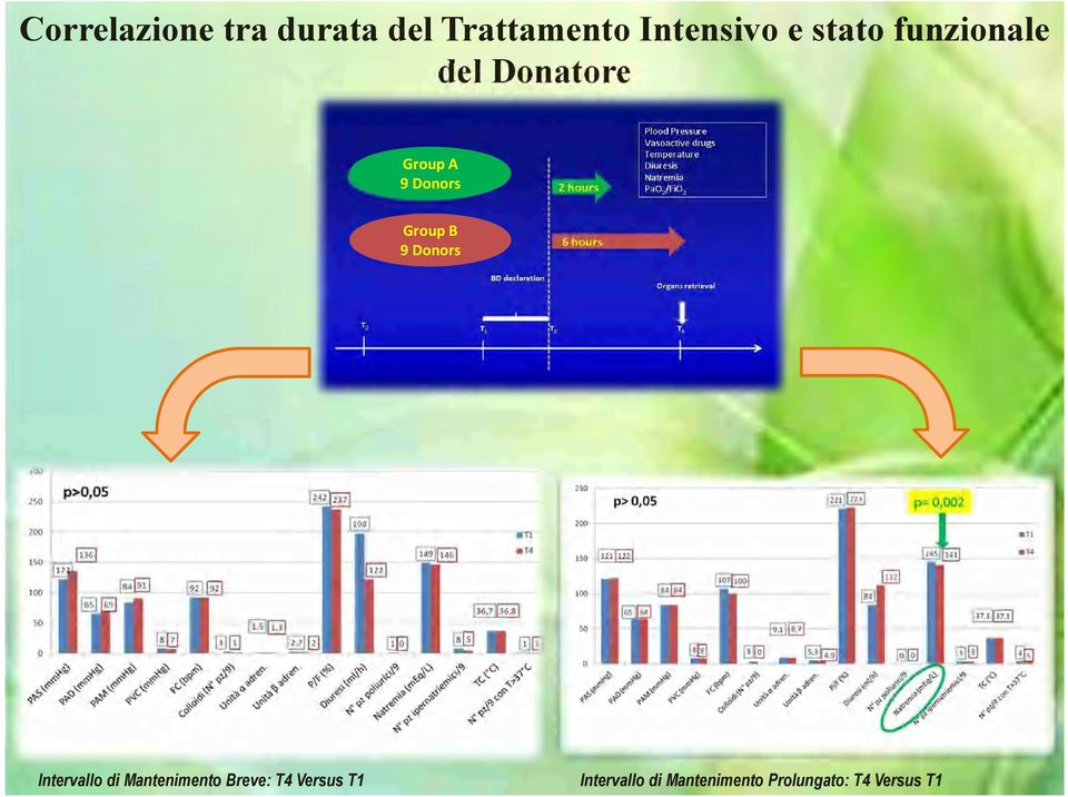 B 9 Donors Intervallo di Mantenimento Breve: T4