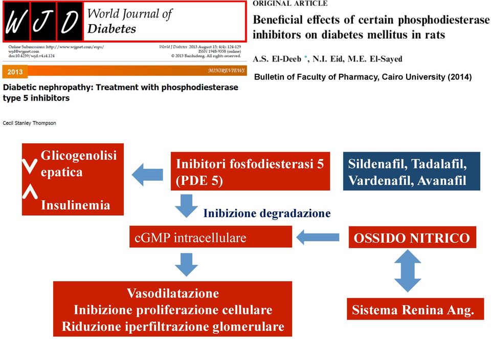 degradazione Sildenafil, Tadalafil, Vardenafil, Avanafil OSSIDO NITRICO