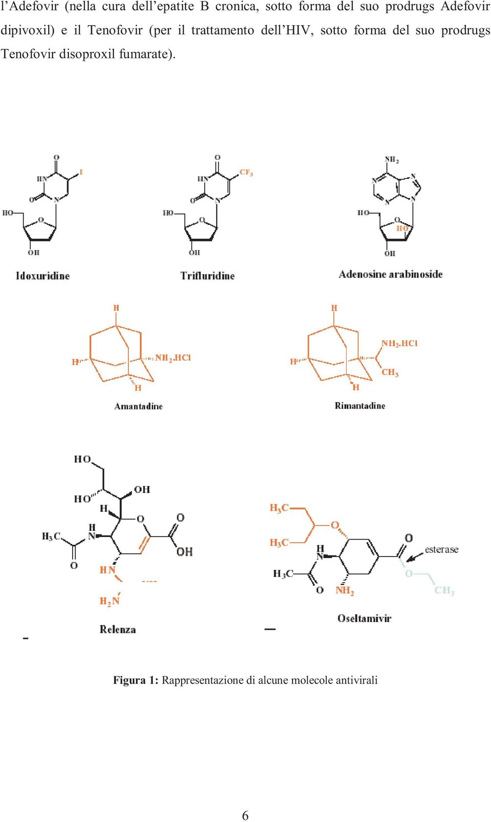 trattamento dell HIV, sotto forma del suo prodrugs Tenofovir