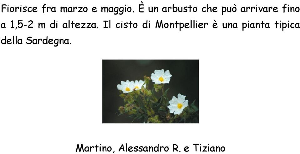 di altezza.