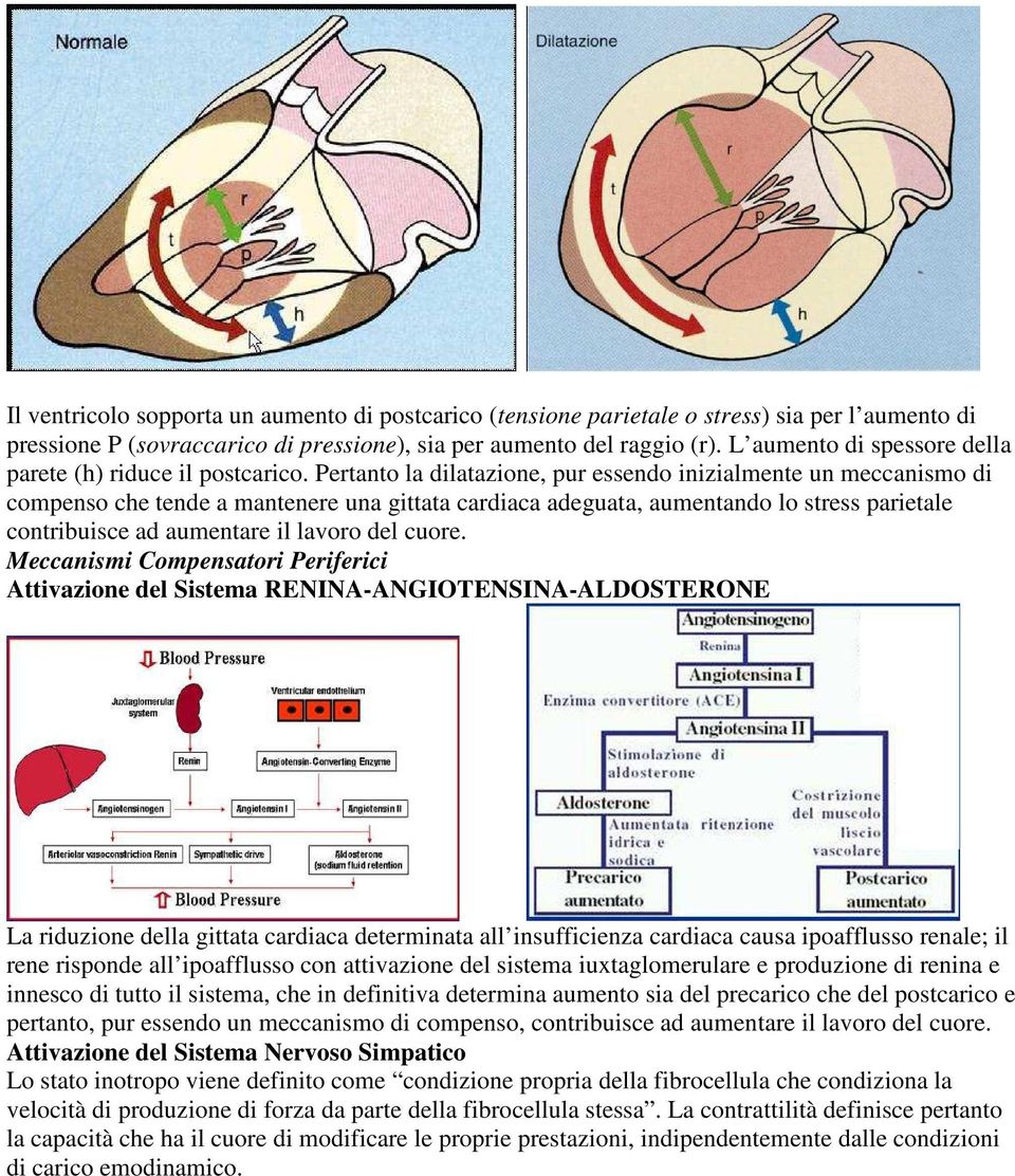 Pertanto la dilatazione, pur essendo inizialmente un meccanismo di compenso che tende a mantenere una gittata cardiaca adeguata, aumentando lo stress parietale contribuisce ad aumentare il lavoro del