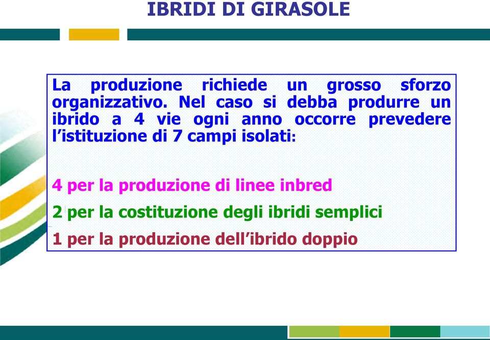 istituzione di 7 campi isolati: 4 per la produzione di linee inbred 2 per