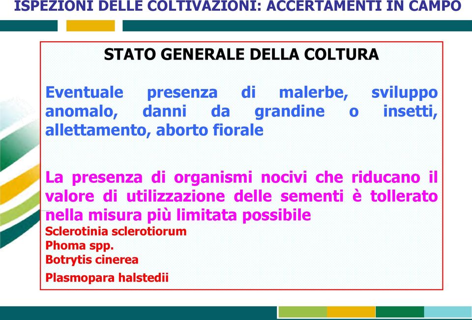 La presenza di organismi nocivi che riducano il valore di utilizzazione delle sementi è tollerato