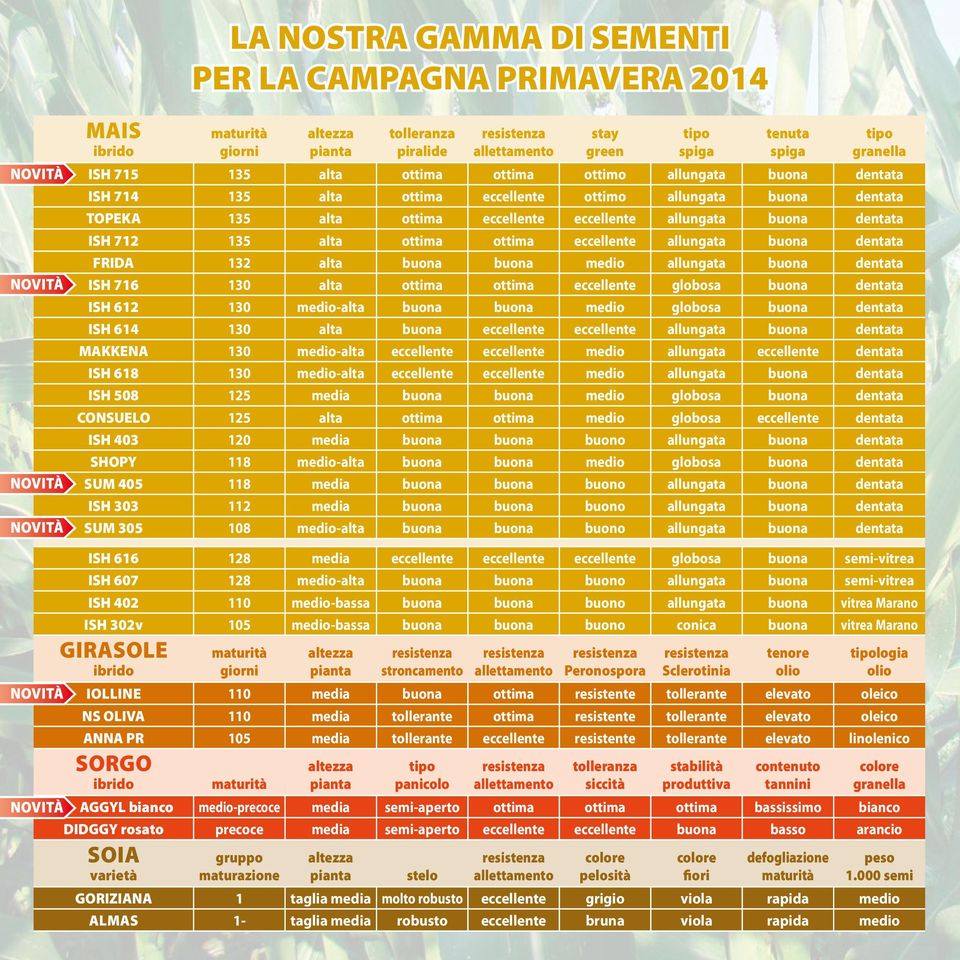 dentata ISH 712 135 alta ottima ottima eccellente allungata buona dentata FRIDA 132 alta buona buona medio allungata buona dentata ISH 716 130 alta ottima ottima eccellente globosa buona dentata ISH