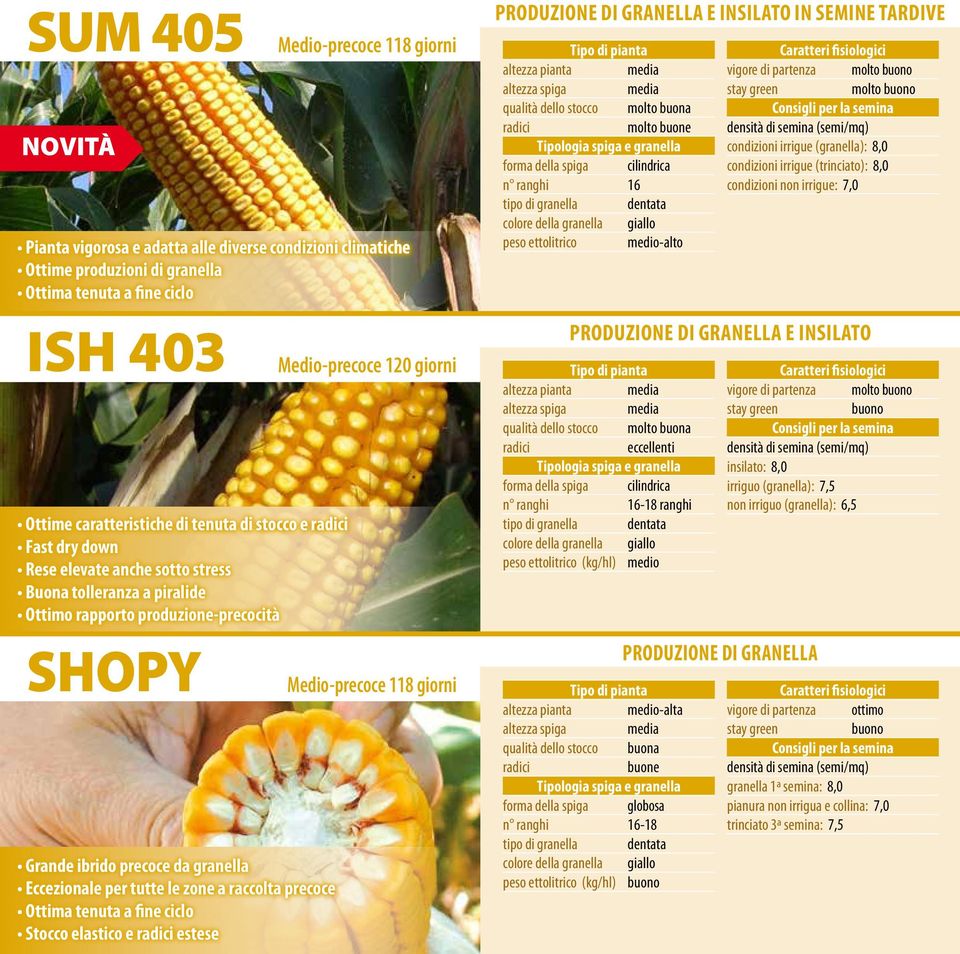 raccolta precoce Ottima tenuta a fine ciclo Stocco elastico e estese Medio-precoce 120 giorni Medio-precoce 118 giorni Produzione di granella e insilato in semine tardive altezza pianta media altezza