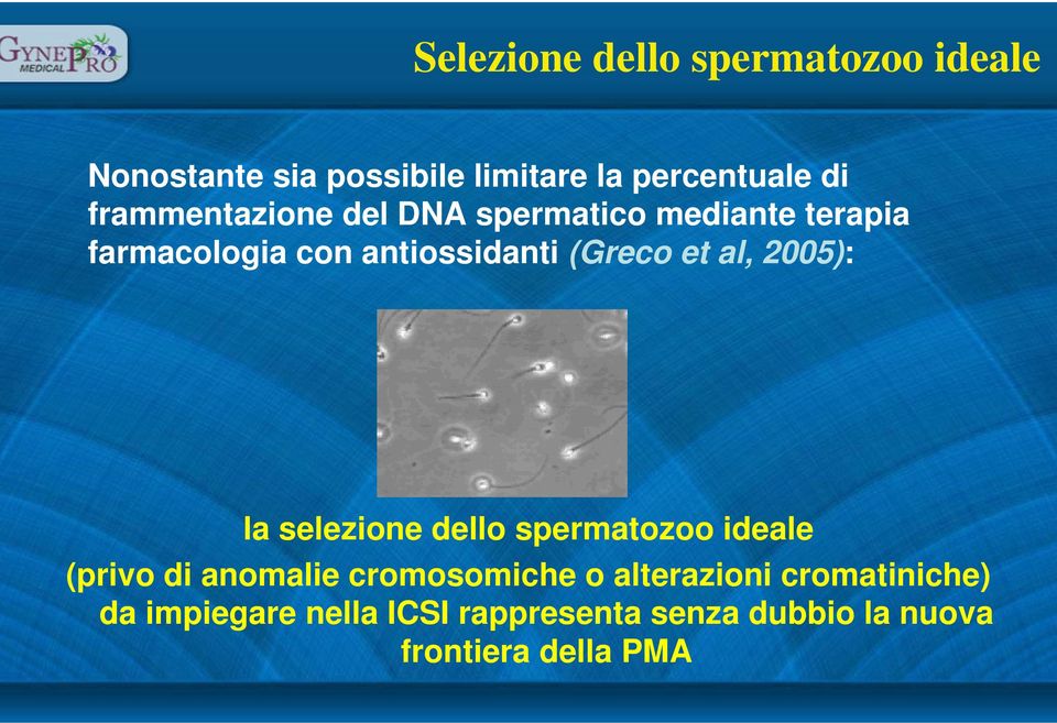 al, 2005): la selezione dello spermatozoo ideale (privo di anomalie cromosomiche o