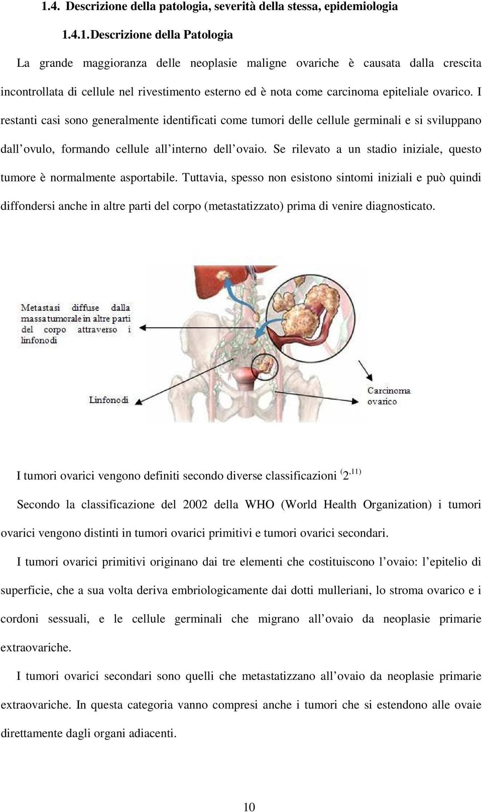 I restanti casi sono generalmente identificati come tumori delle cellule germinali e si sviluppano dall ovulo, formando cellule all interno dell ovaio.