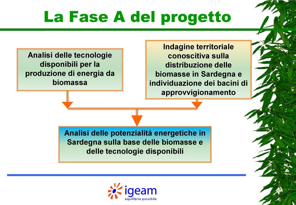 biomasse in Sardegna e individuazione dei bacini di approvvigionamento Analisi delle