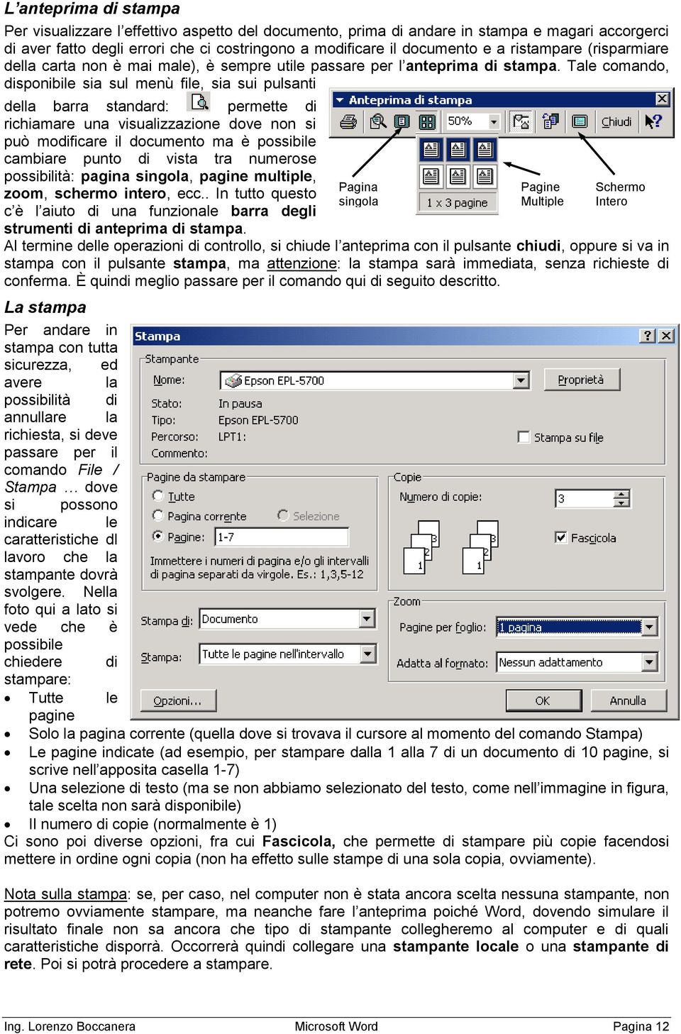 Tale comando, disponibile sia sul menù file, sia sui pulsanti della barra standard: permette di richiamare una visualizzazione dove non si può modificare il documento ma è possibile cambiare punto di