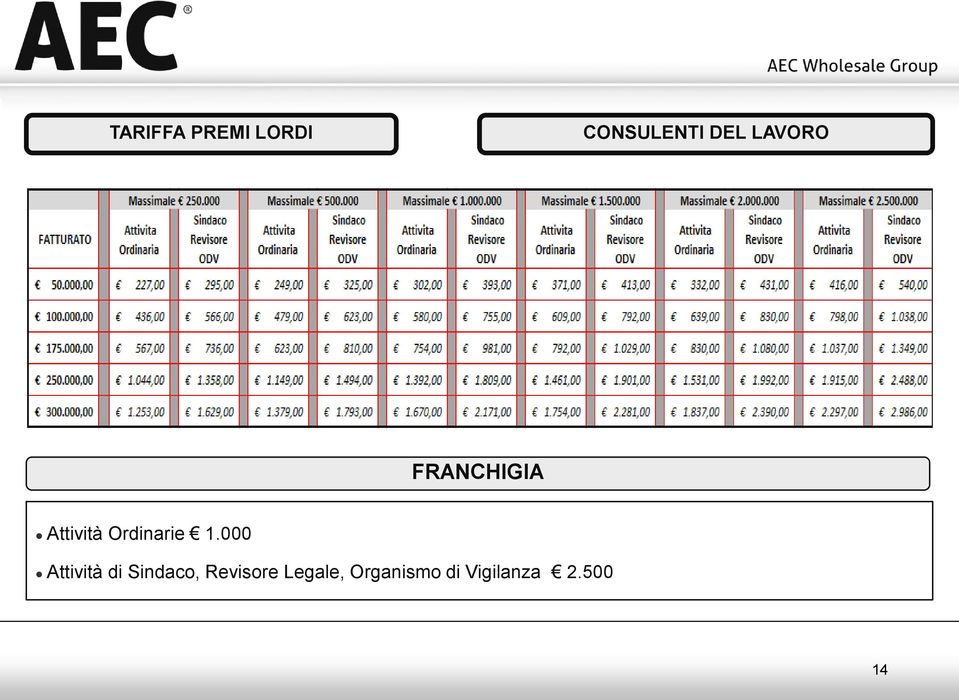 1.000 Attività di Sindaco, Revisore