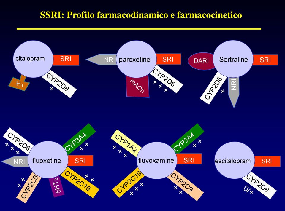 paroxetine SRI DARI Sertraline SRI H 1