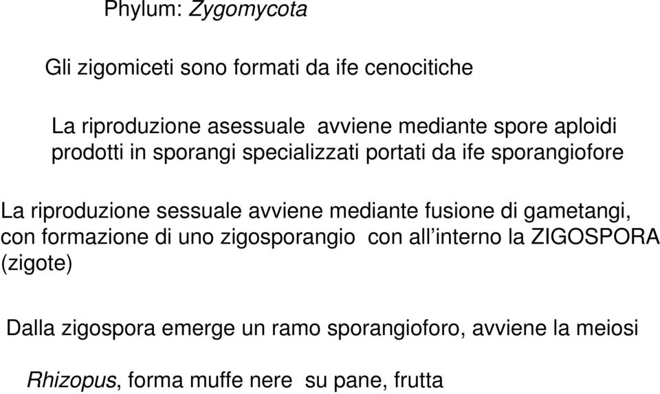 sessuale avviene mediante fusione di gametangi, con formazione di uno zigosporangio con all interno la