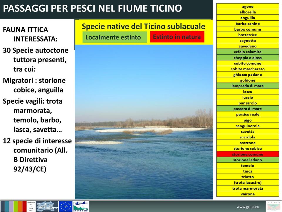 marmorata, temolo, barbo, lasca, savetta 12 specie di interesse comunitario (All.