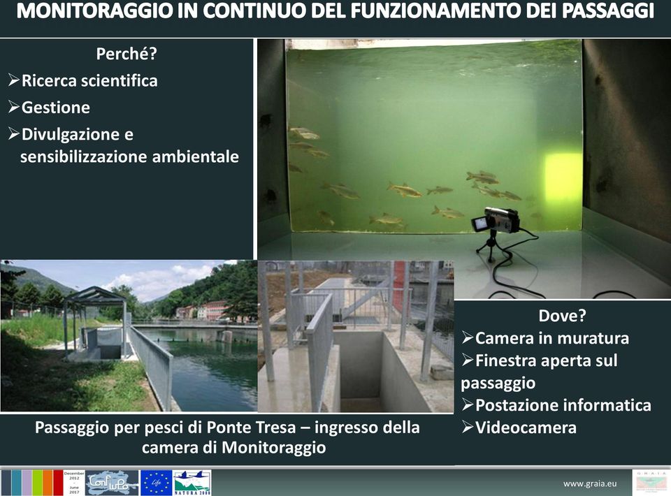 sensibilizzazione ambientale Passaggio per pesci di Ponte