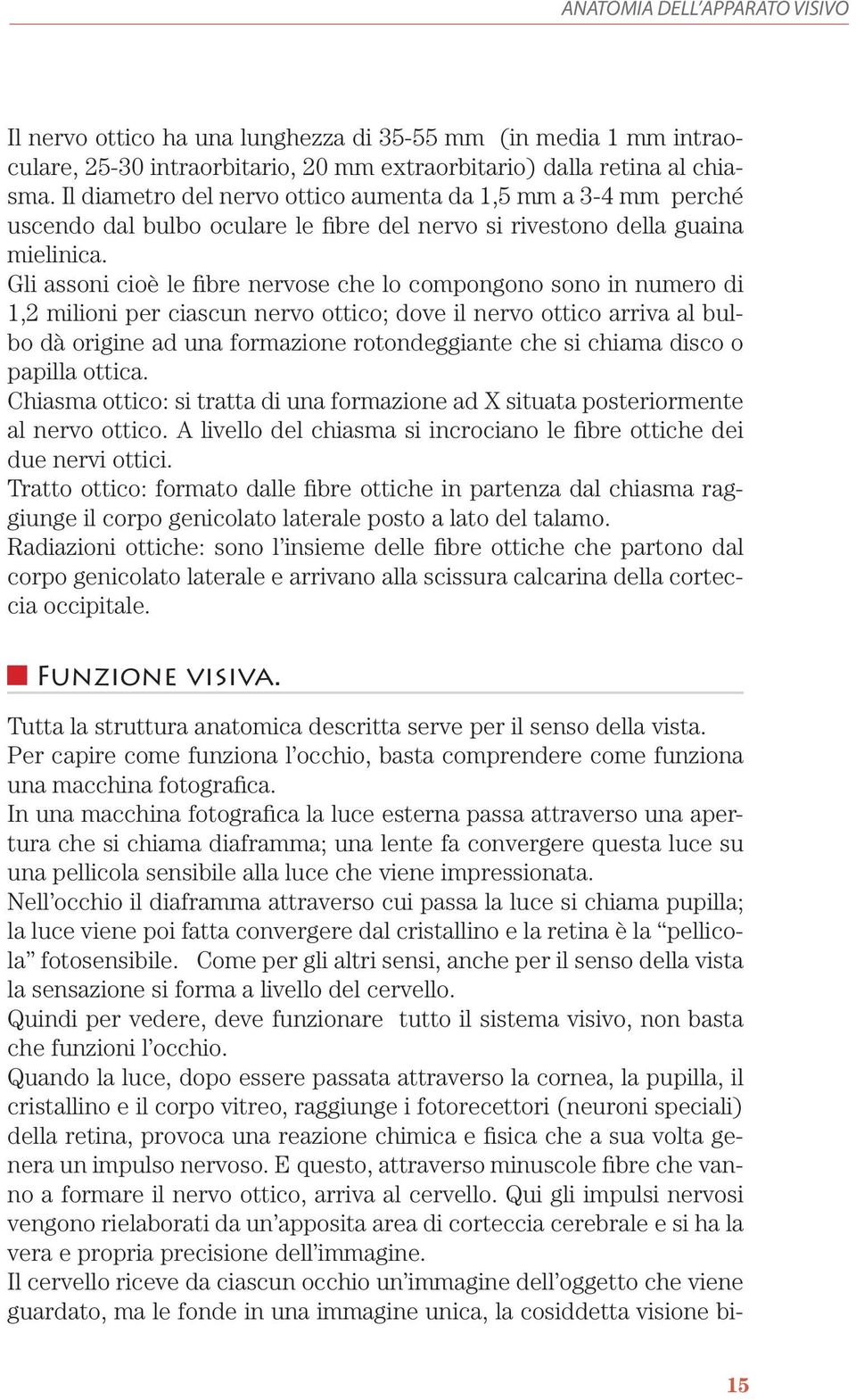 Gli assoni cioè le fibre nervose che lo compongono sono in numero di 1,2 milioni per ciascun nervo ottico; dove il nervo ottico arriva al bulbo dà origine ad una formazione rotondeggiante che si