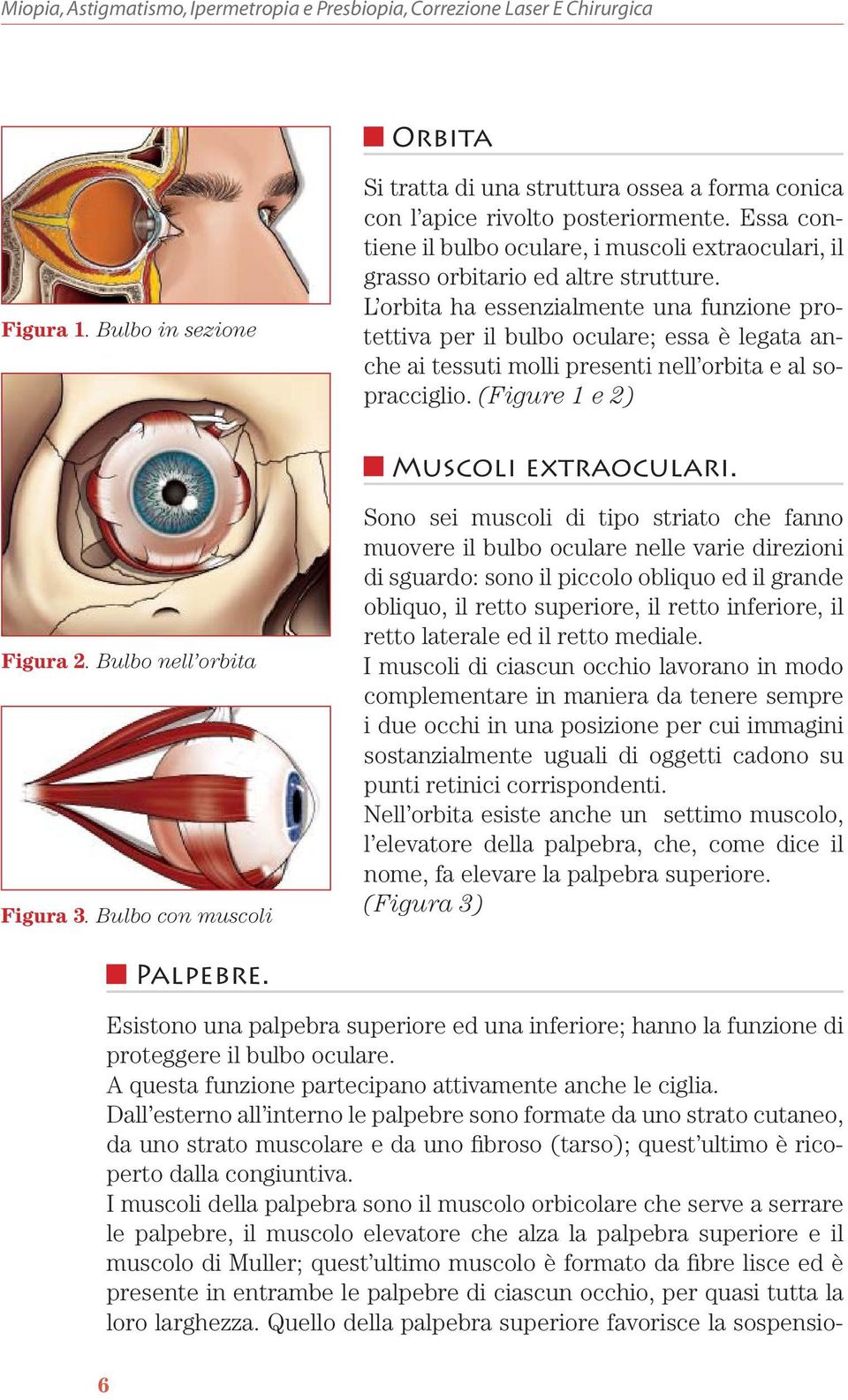 L orbita ha essenzialmente una funzione protettiva per il bulbo oculare; essa è legata anche ai tessuti molli presenti nell orbita e al sopracciglio. (Figure 1 e 2) Muscoli extraoculari. Figura 2.