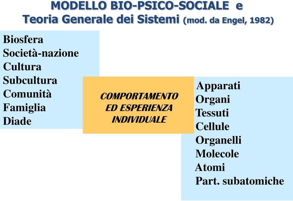 Comunità Famiglia Diade COMPORTAMENTO ED ESPERIENZA INDIVIDUALE