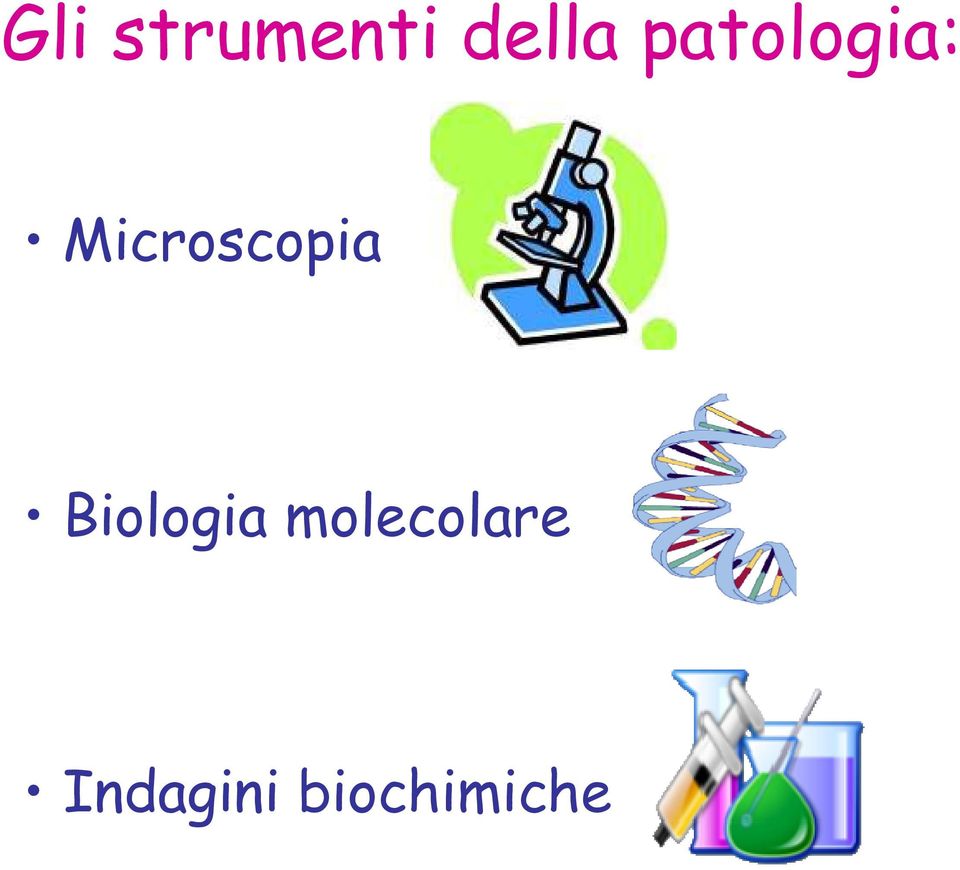 Microscopia Biologia