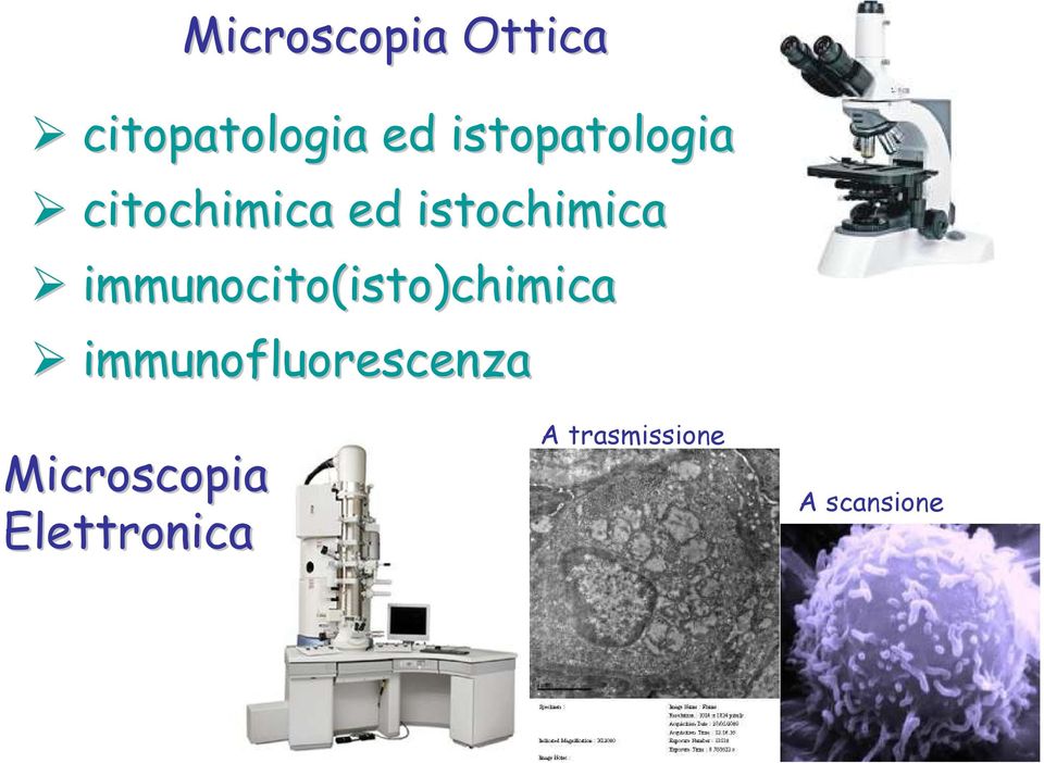 immunocito(isto isto)chimica