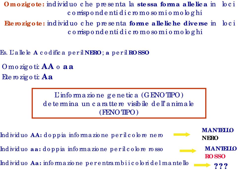 L allele A codifica per il NERO; a per il ROSSO Omozigoti: AA o aa Eterozigoti: Aa L informazione genetica (GENOTIPO) determina un carattere