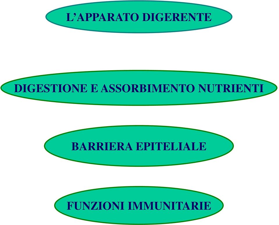 ASSORBIMENTO NUTRIENTI