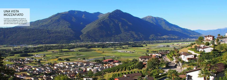 dal Passo San Jorio al Monte Tamaro, giù fino