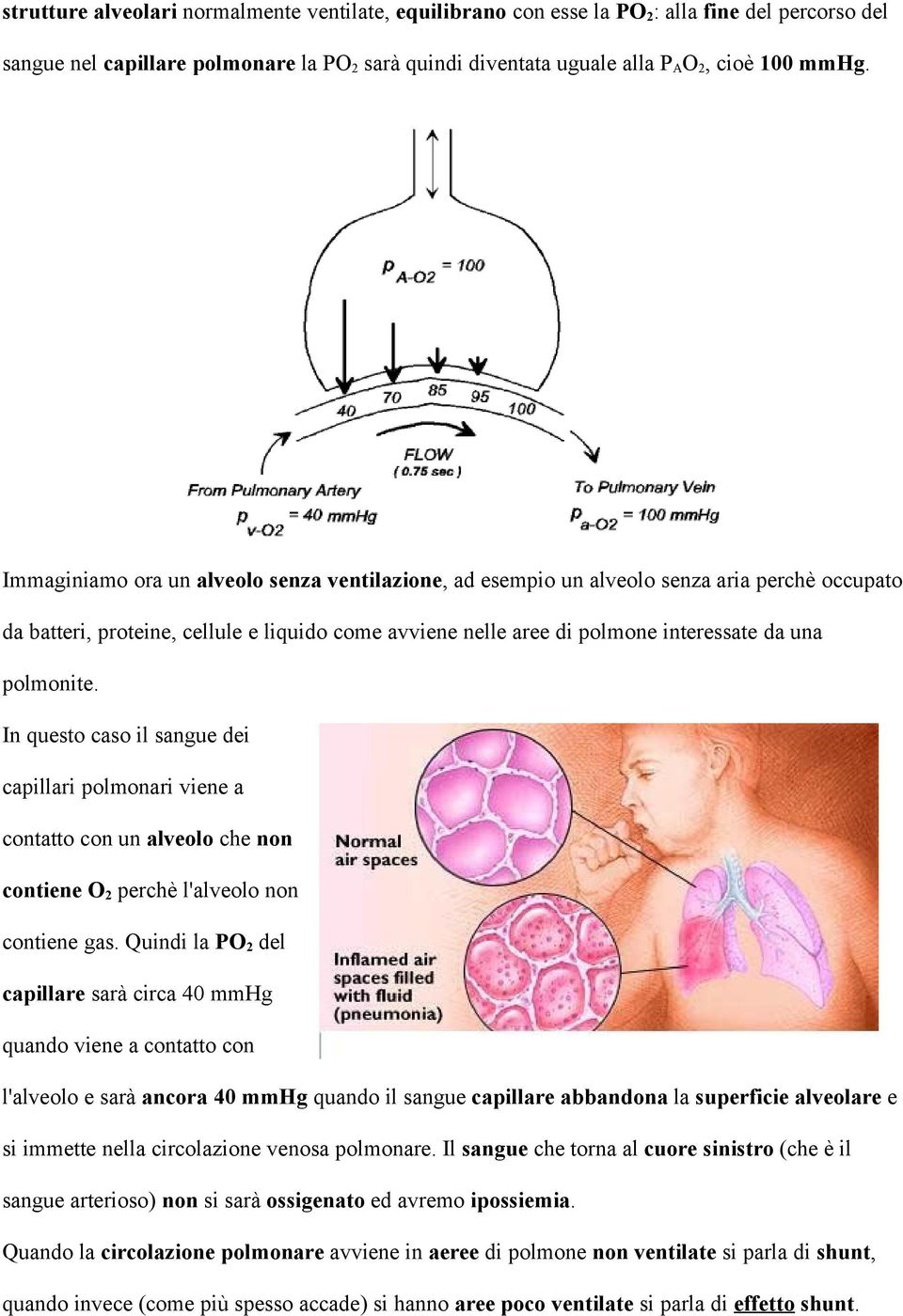 In questo caso il sangue dei capillari polmonari viene a contatto con un alveolo che non contiene O 2 perchè l'alveolo non contiene gas.