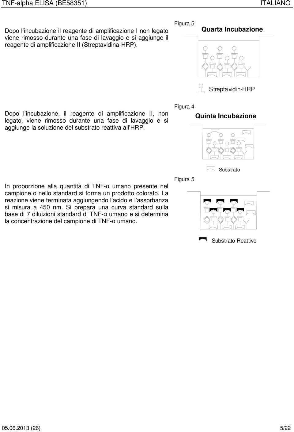 reattiva all HRP. Figura 4 Quinta Incubazione Substrato In proporzione alla quantità di TNF-α umano presente nel campione o nello standard si forma un prodotto colorato.