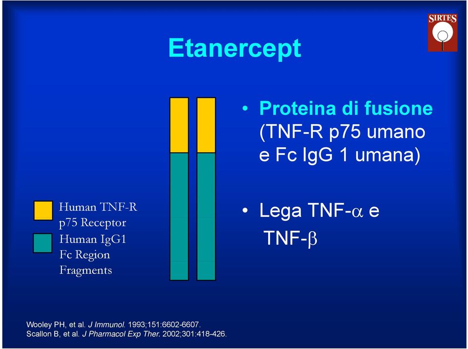Fragments Lega TNF-α e TNF-β Wooley PH, et al. J Immunol.