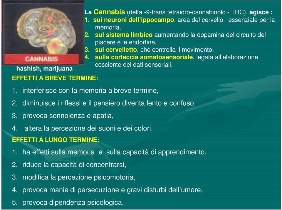 sulla corteccia somatosensoriale, legata all elaborazione cosciente dei dati sensoriali. 1. interferisce con la memoria a breve termine, 2.