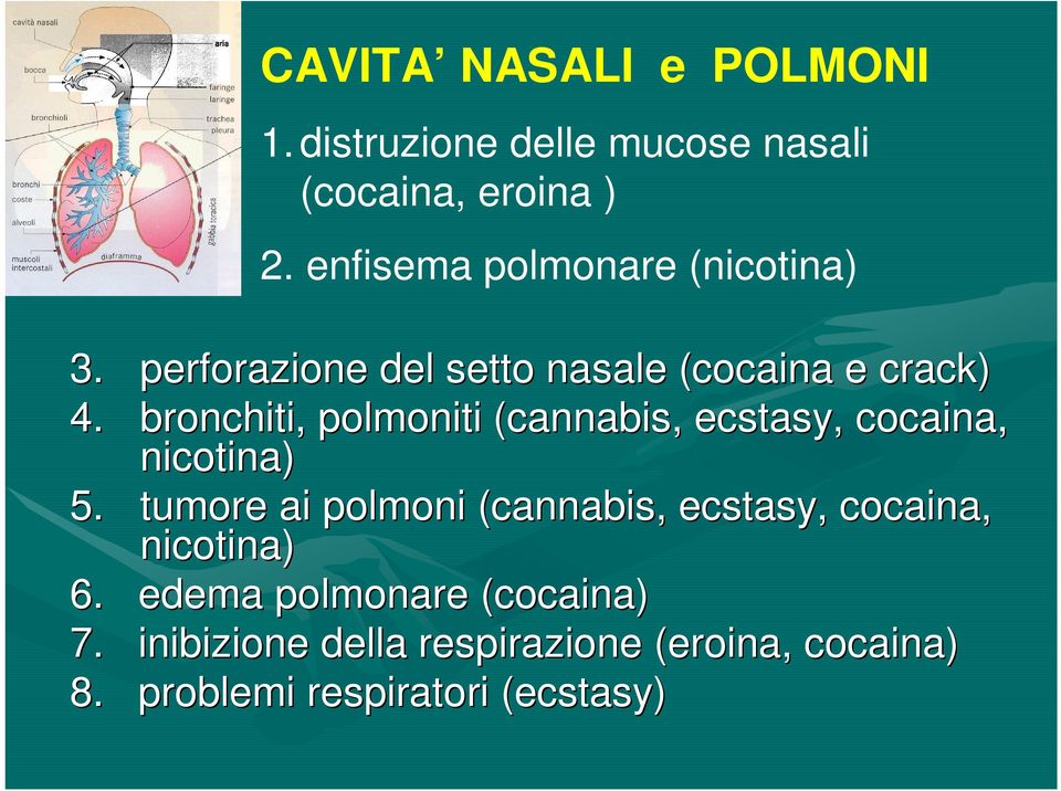bronchiti, polmoniti (cannabis, ecstasy, cocaina, nicotina) 5.