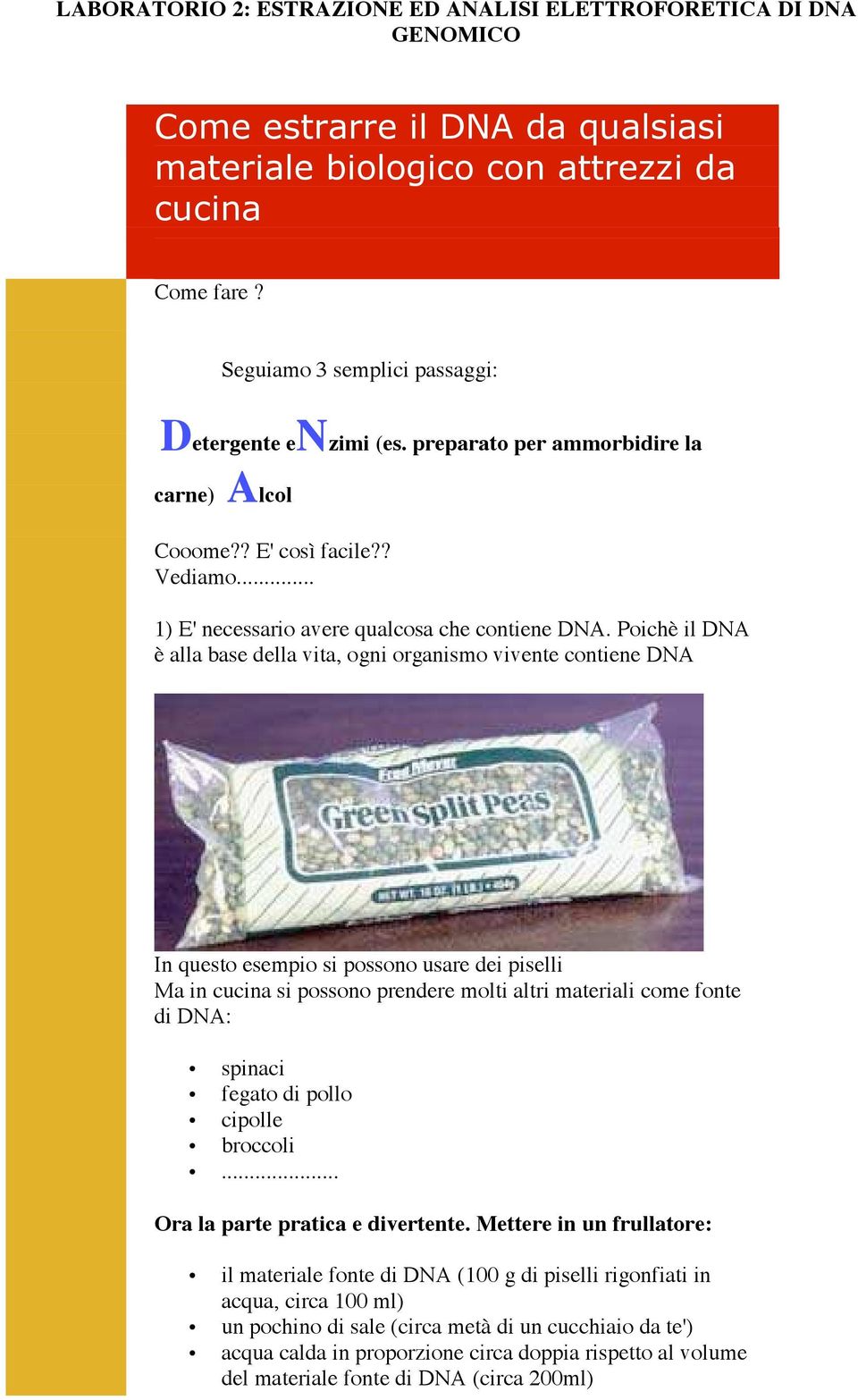 Poichè il DNA è alla base della vita, ogni organismo vivente contiene DNA In questo esempio si possono usare dei piselli Ma in cucina si possono prendere molti altri materiali come fonte di DNA: