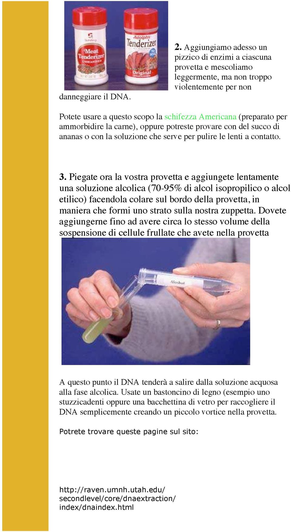 la carne), oppure potreste provare con del succo di ananas o con la soluzione che serve per pulire le lenti a contatto. 3.