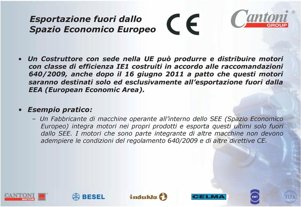 (European Economic Area).