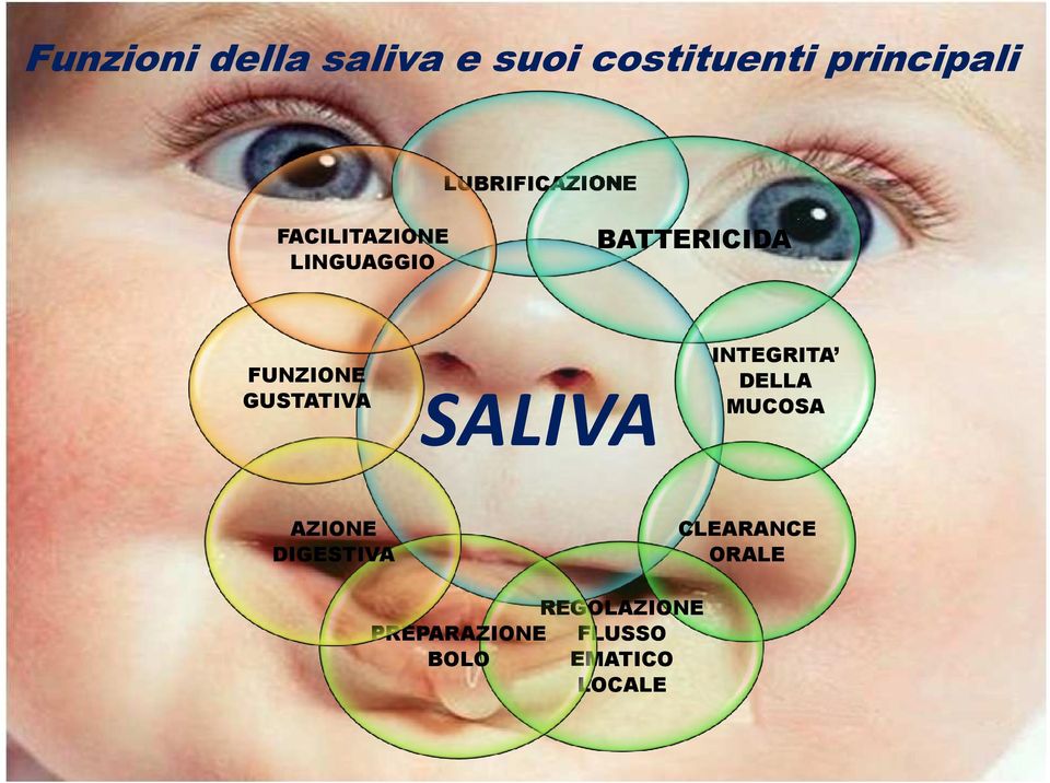 AZIONE DIGESTIVA BATTERICIDA INTEGRITA DELLA MUCOSA SALIVA