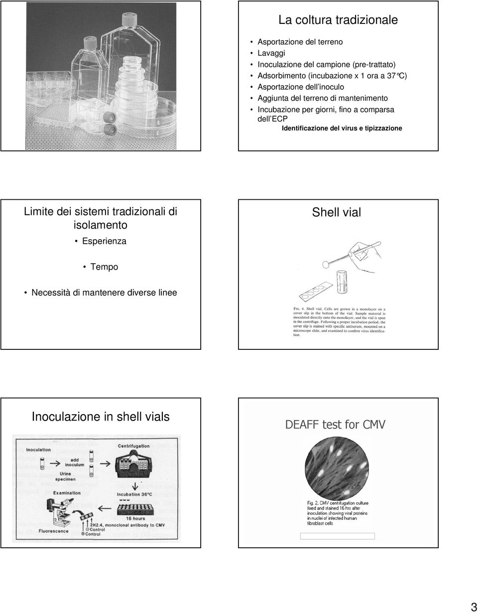 fino a comparsa dell ECP Identificazione del virus e tipizzazione Limite dei sistemi tradizionali di isolamento