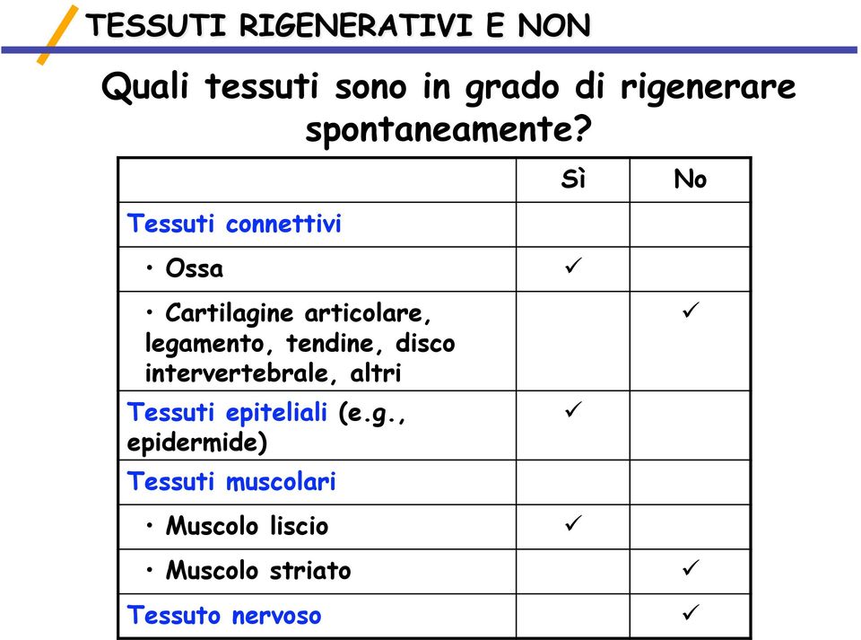 tendine, disco intervertebrale, altri Tessuti epiteliali (eg,