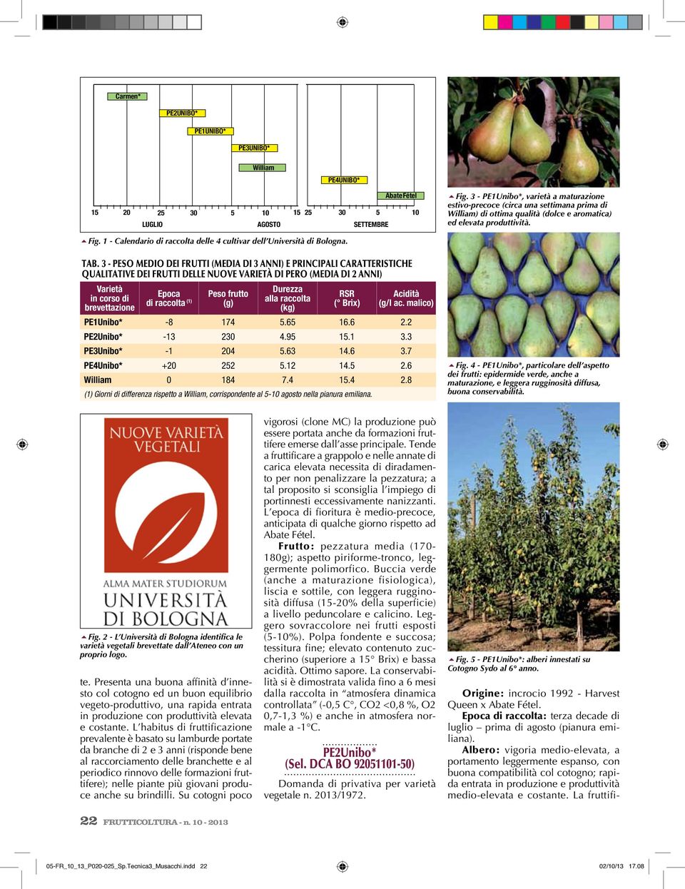 1 - Calendario di raccolta delle 4 cultivar dell Università di Bologna. Tab.