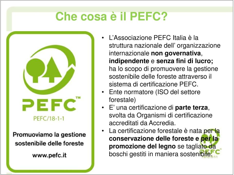 ha lo scopo di promuovere la gestione sostenibile delle foreste attraverso il sistema di certificazione PEFC.