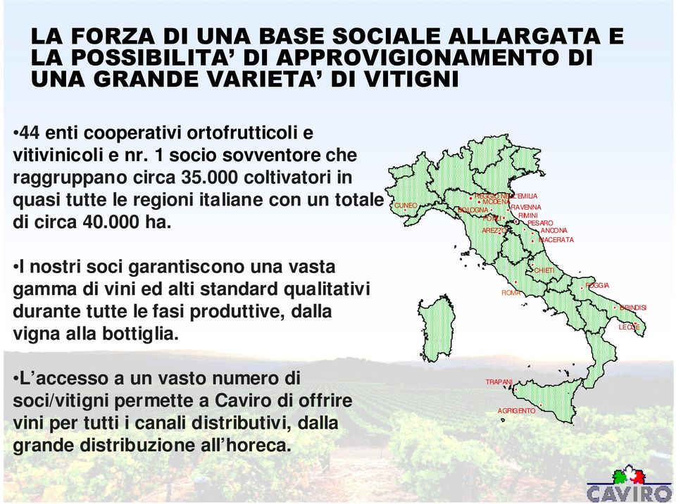 CUNEO REGGIO NELL'EMILIA MODENA BOLOGNA RAVENNA FORLI' RIMINI PESARO AREZZO ANCONA MACERATA I nostri soci garantiscono una vasta gamma di vini ed alti