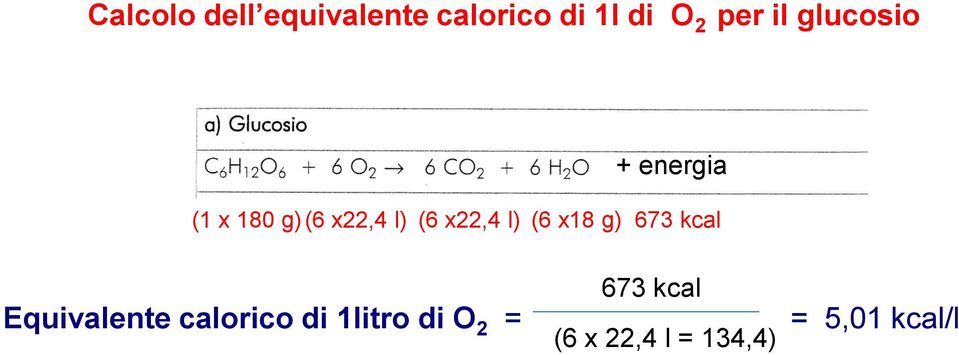 x22,4 l) (6 x18 g) 673 kcal Equivalente calorico di