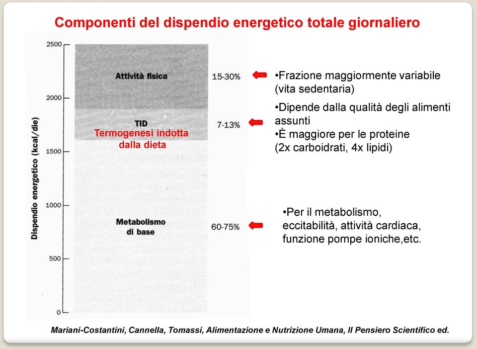 proteine (2x carboidrati, 4x lipidi) Per il metabolismo, eccitabilità, attività cardiaca, funzione pompe