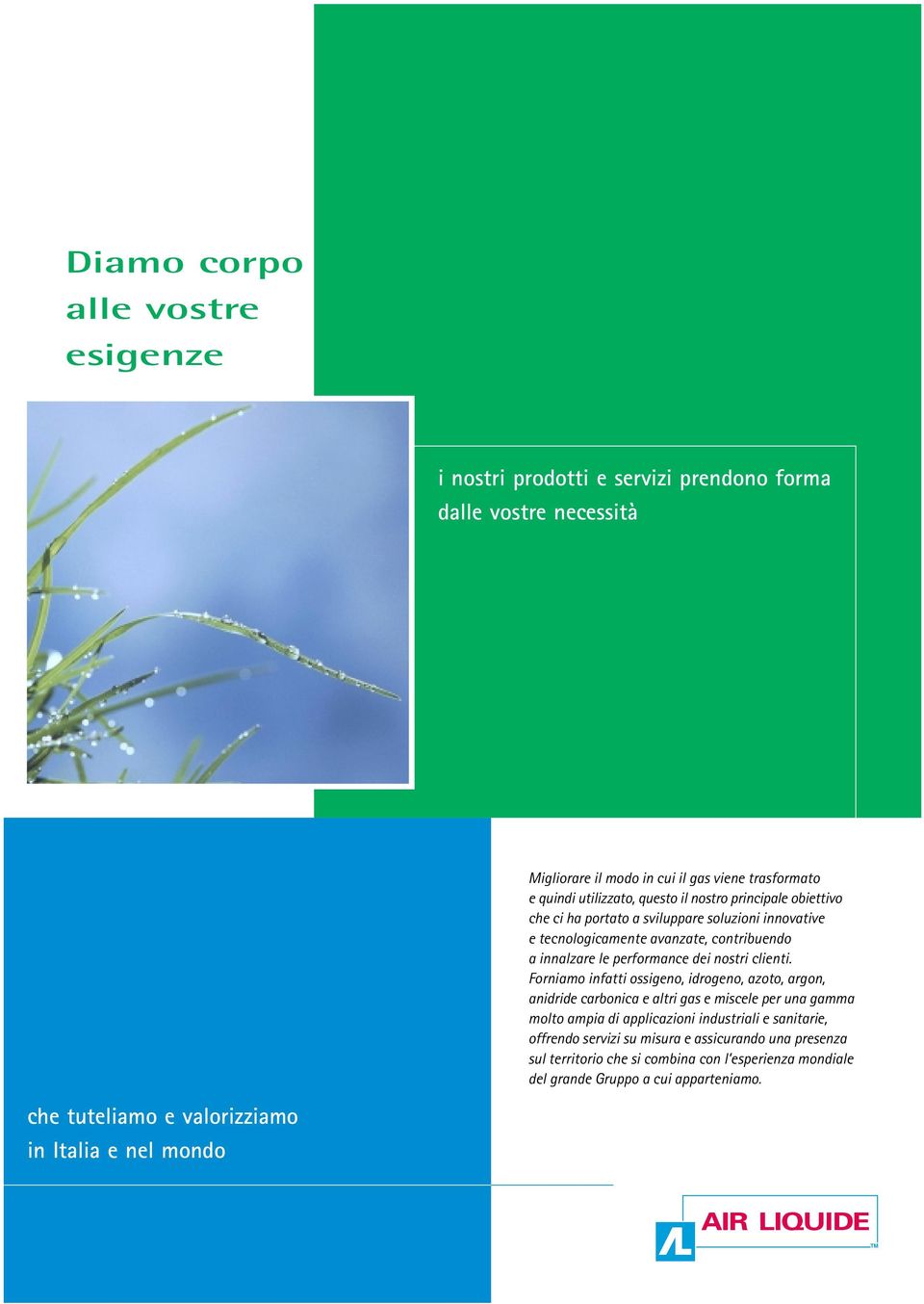 Forniamo infatti ossigeno, idrogeno, azoto, argon, anidride carbonica e altri gas e miscele per una gamma molto ampia di applicazioni industriali e sanitarie, offrendo servizi