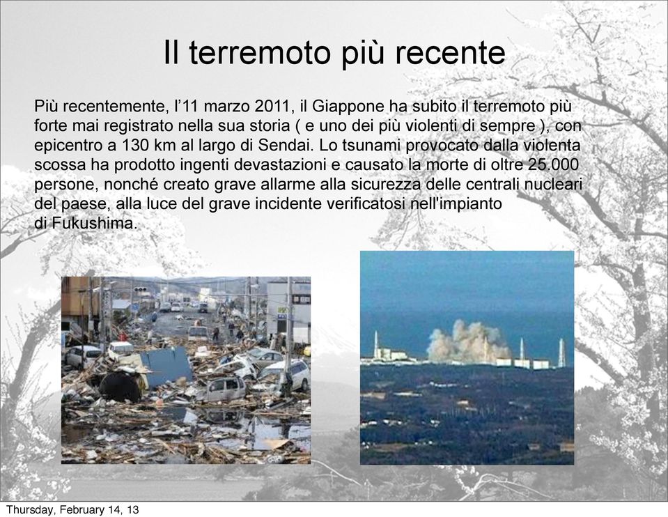 Lo tsunami provocato dalla violenta scossa ha prodotto ingenti devastazioni e causato la morte di oltre 25.